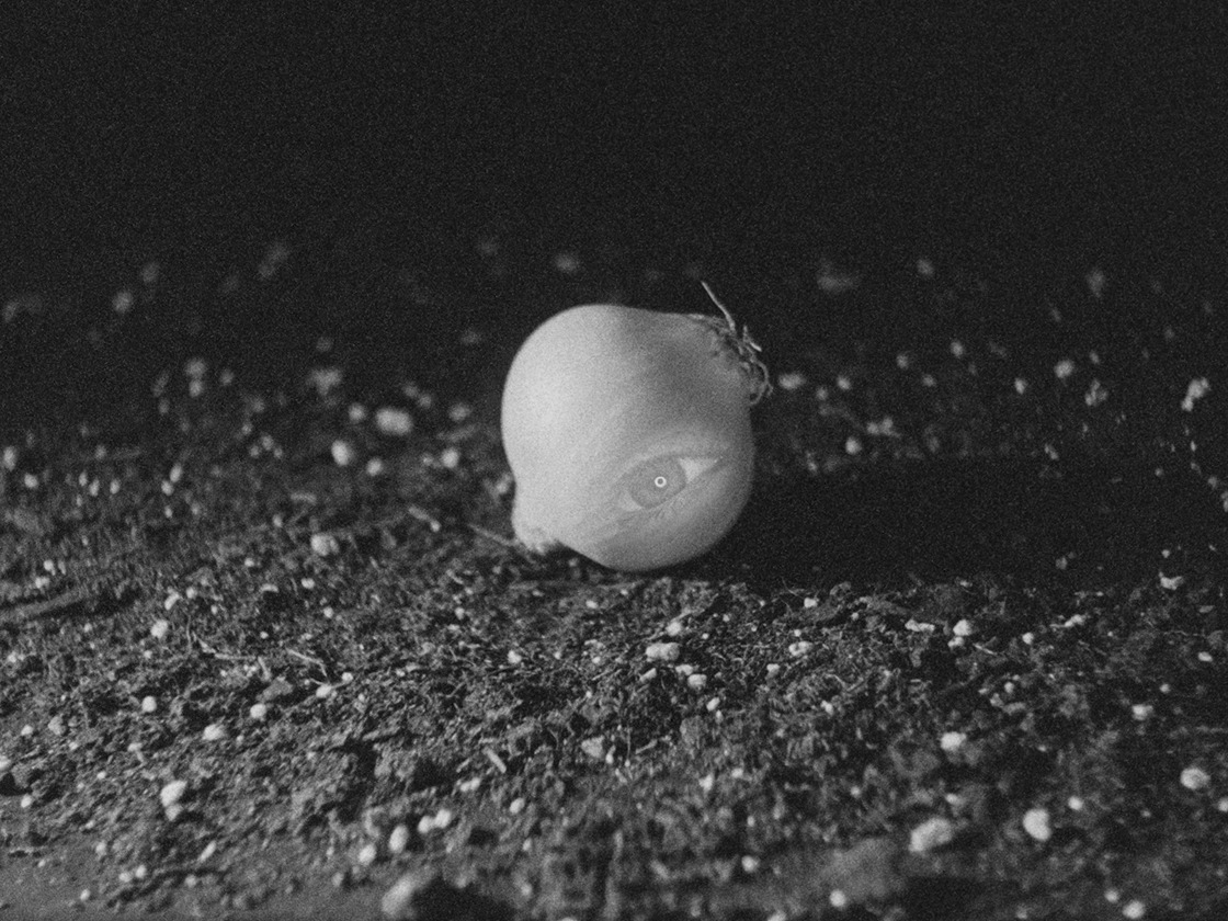 2022_Quintessence_Still1_BettyBlitz