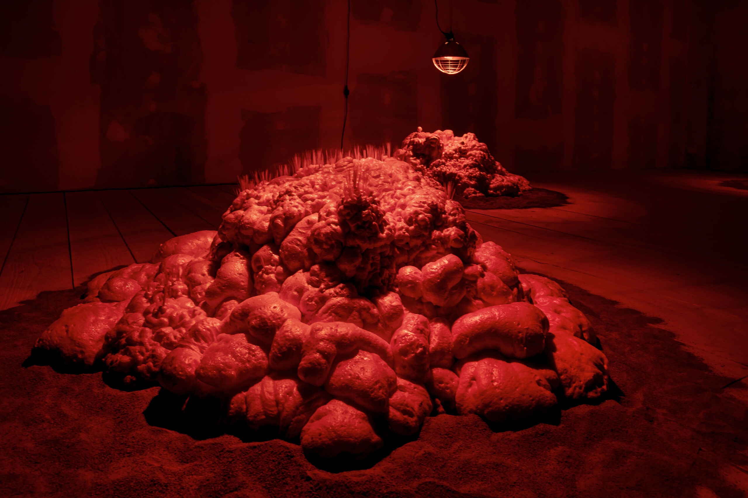 Genetic Blossom 3_Installation_2023_polyurethane foam, infrared light, basalt sand_approx. 170×150 cm per sculpture_©Violetta Wakolbinger