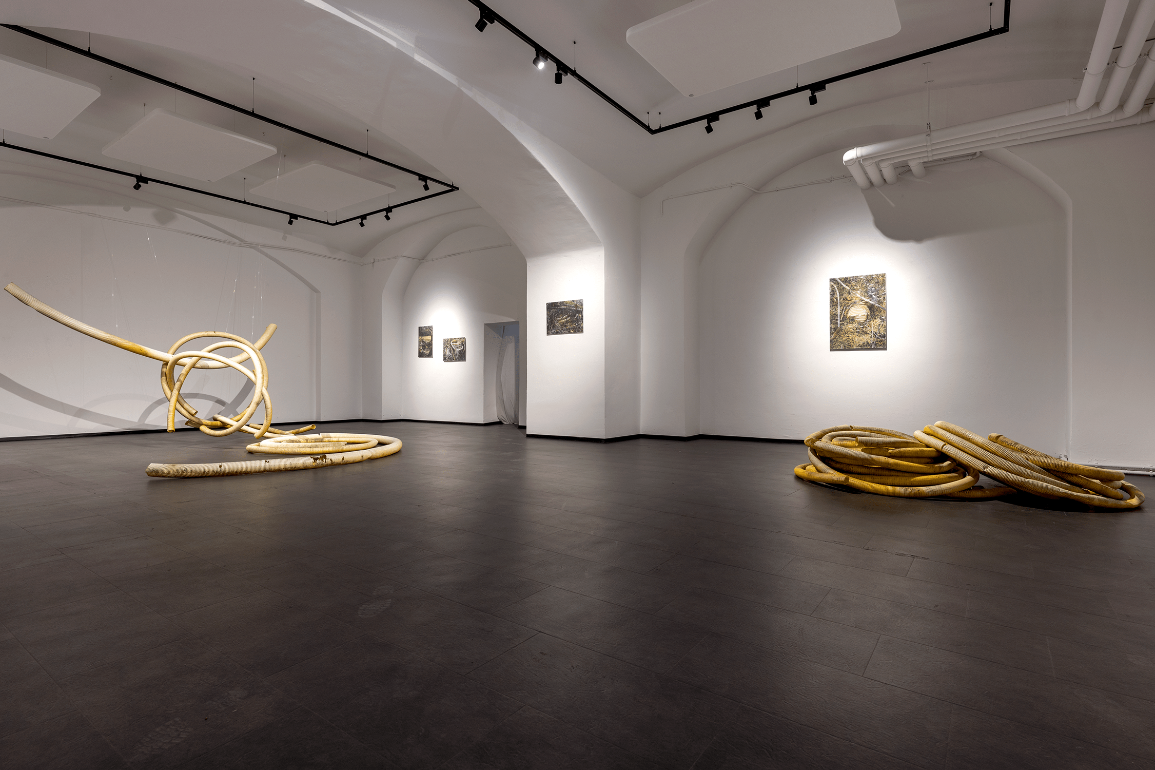 001_IFK_DT_AUSSTELLUNG_©Violetta Wakolbinger_VIO3004