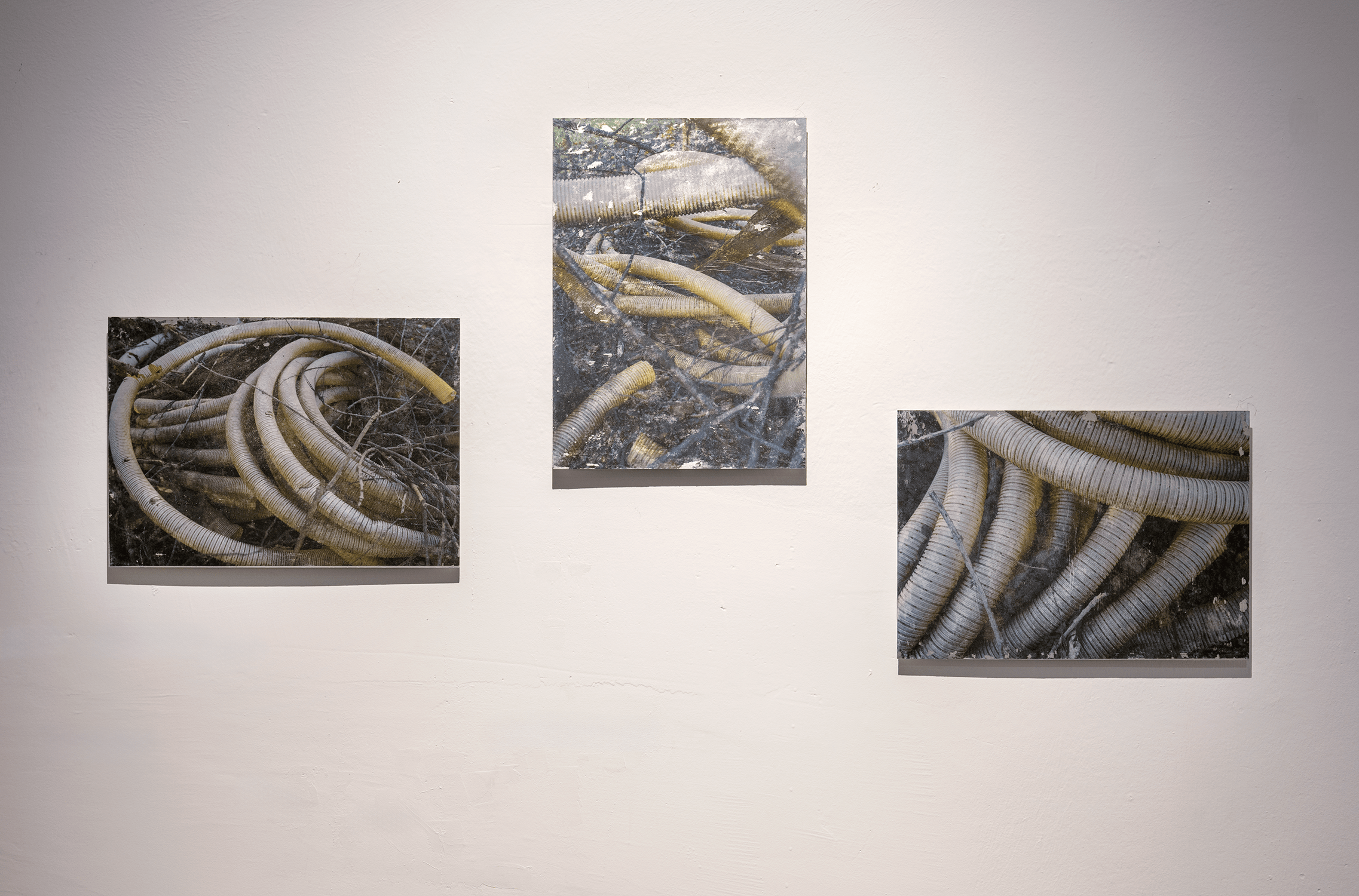 009_IFK_DT_AUSSTELLUNG_©Violetta Wakolbinger_VIO3027
