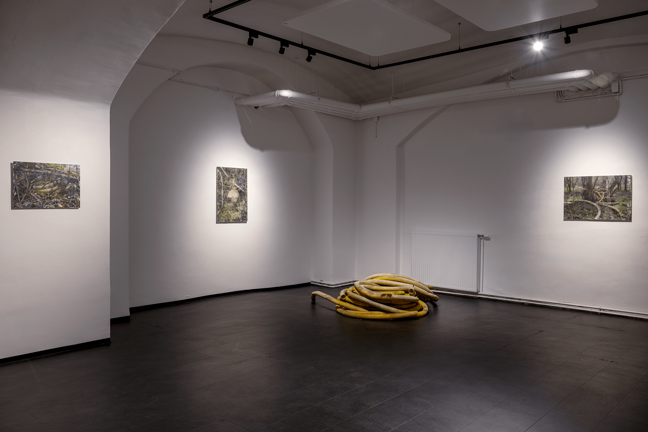 027_IFK_DT_AUSSTELLUNG_©Violetta Wakolbinger_VIO3092