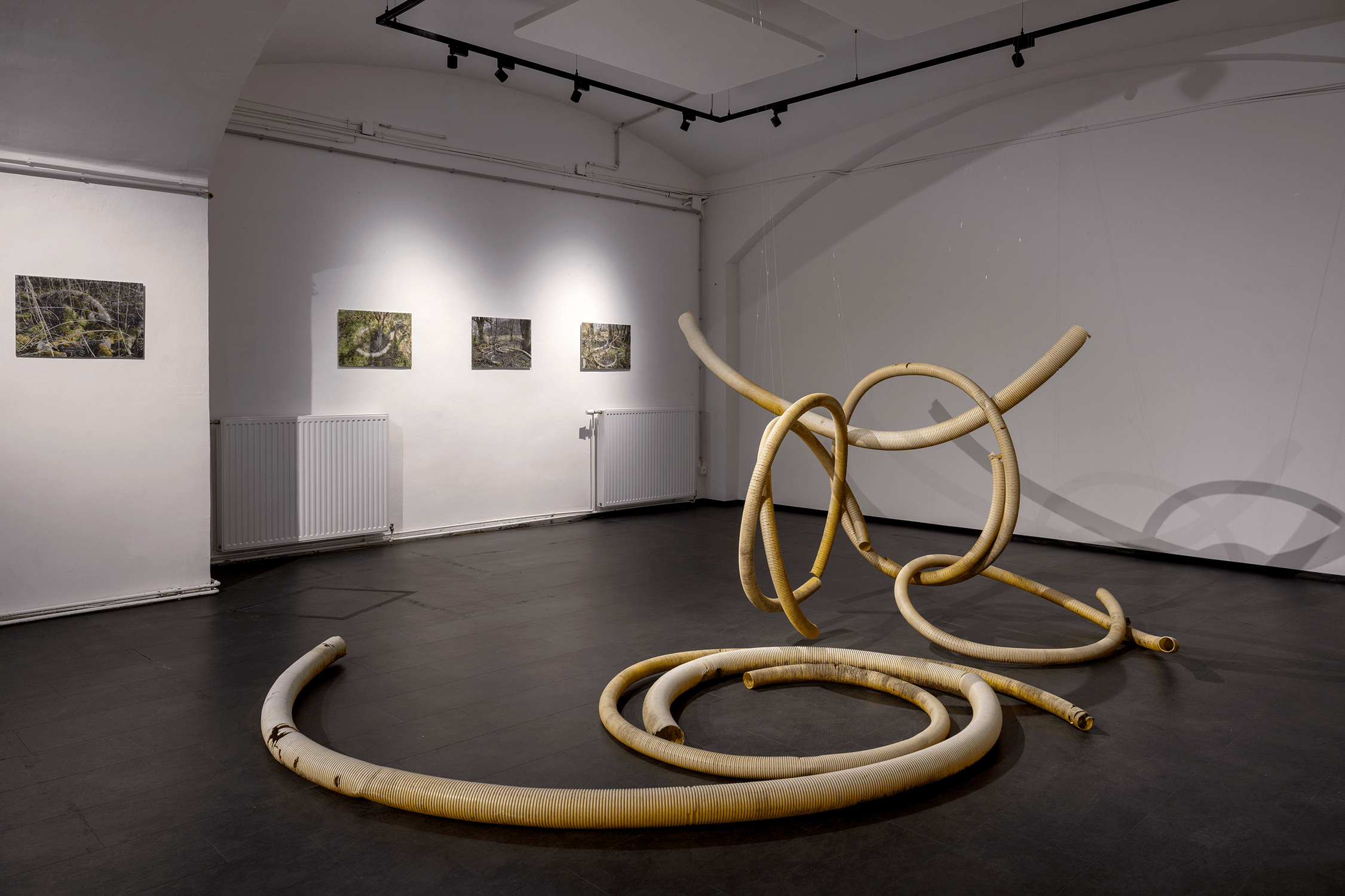 030_IFK_DT_AUSSTELLUNG_©Violetta Wakolbinger_VIO3107