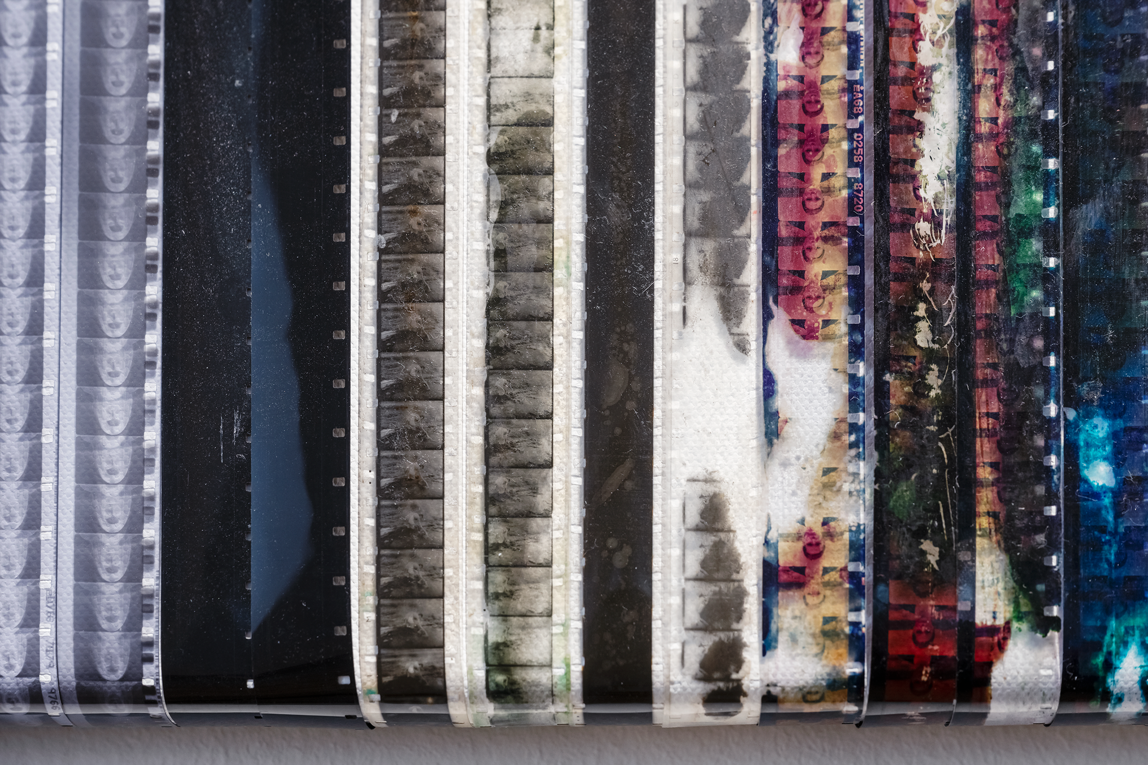 008_SBZ_WHA_©-Violetta-Wakolbinger_1736