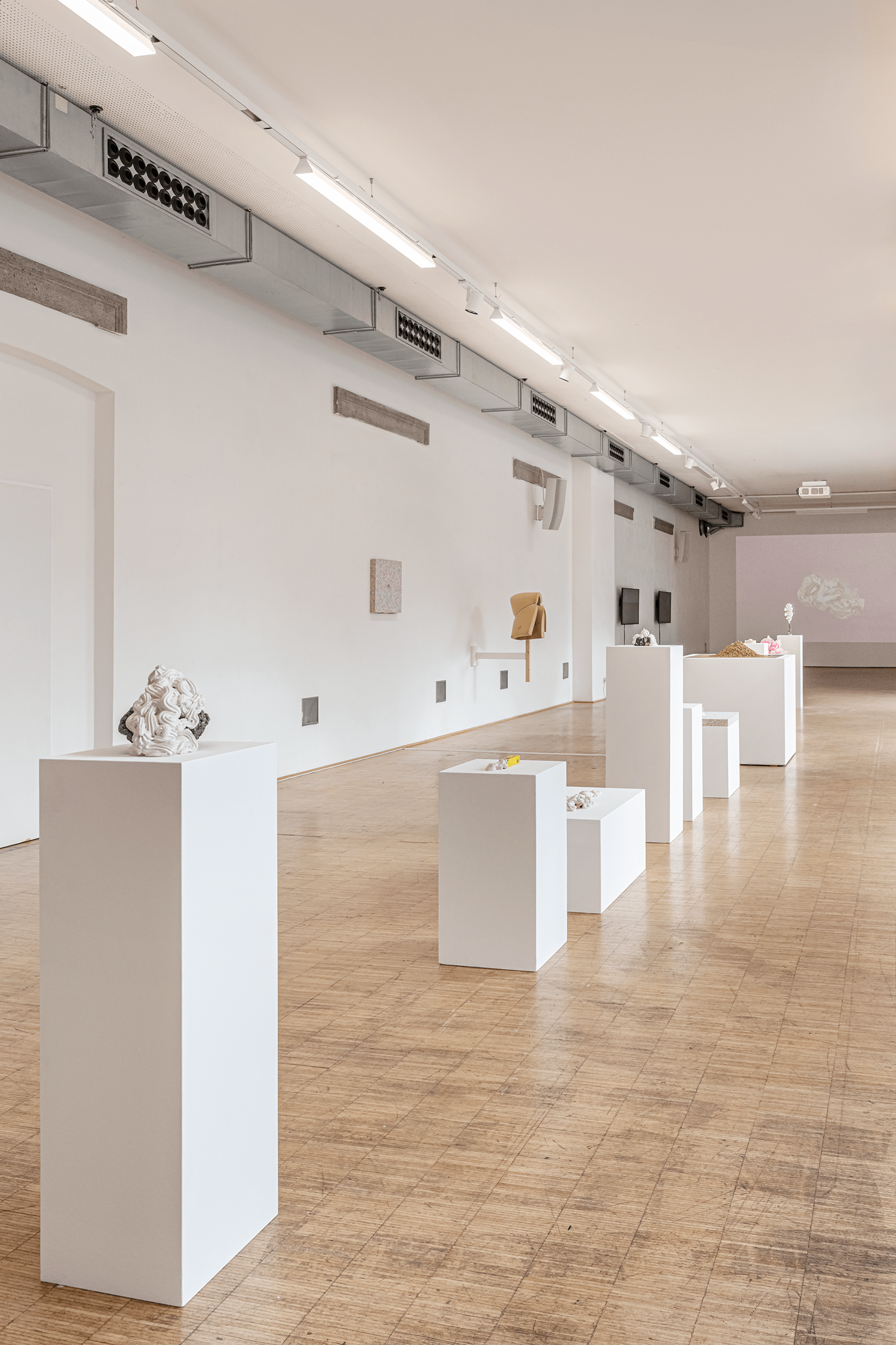 009_GR_splace© Violetta Wakolbinger_2304