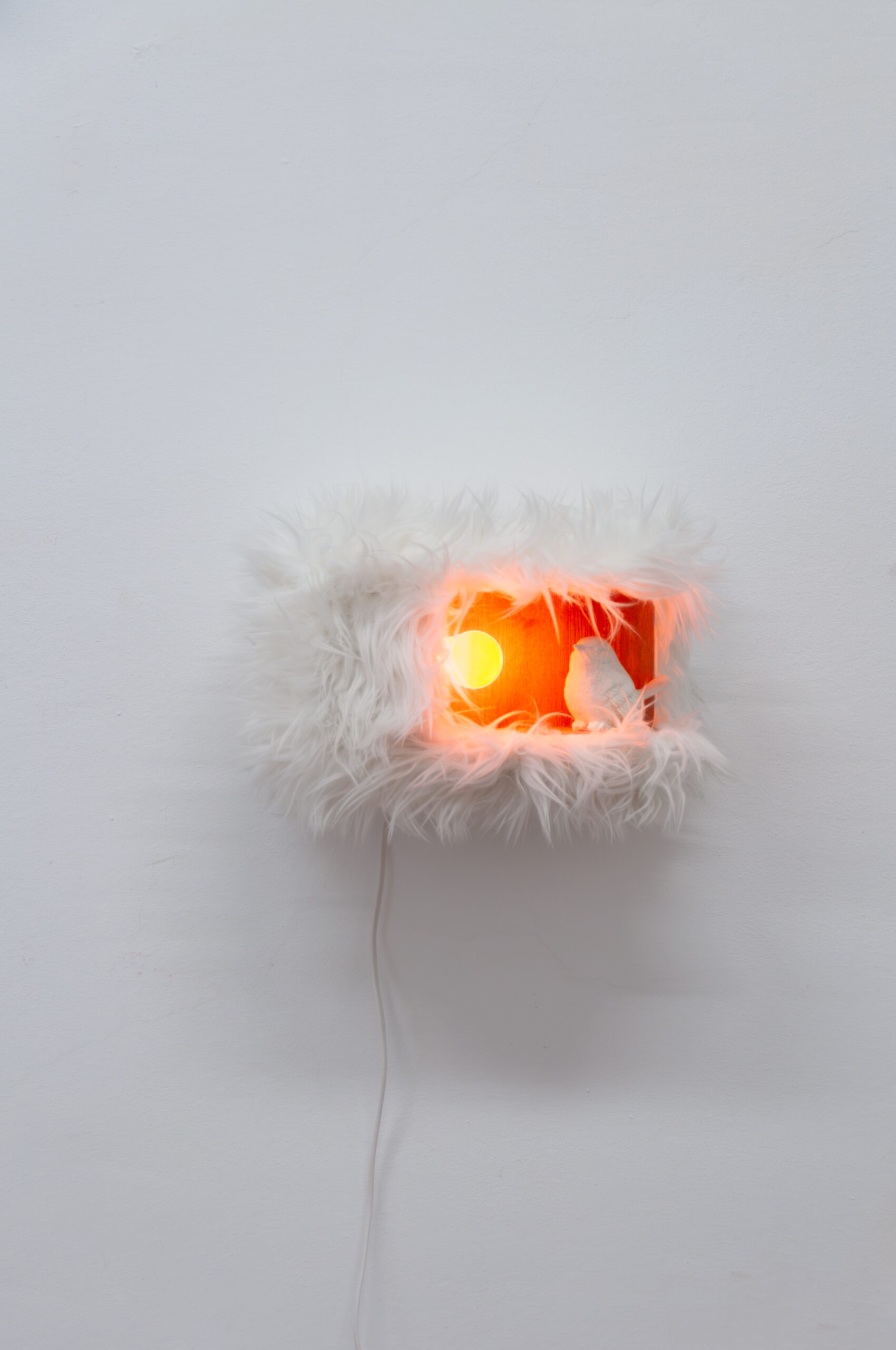 reitmann_simon_bild-1_1